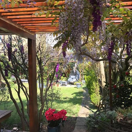 Londonhomegardens المظهر الخارجي الصورة