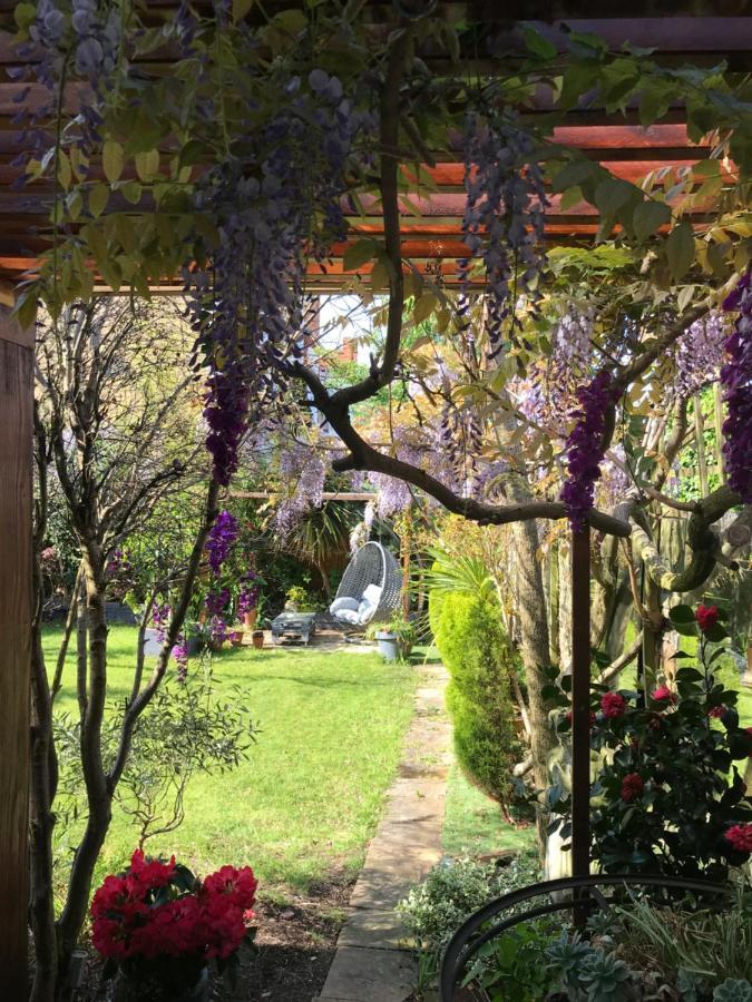 Londonhomegardens المظهر الخارجي الصورة