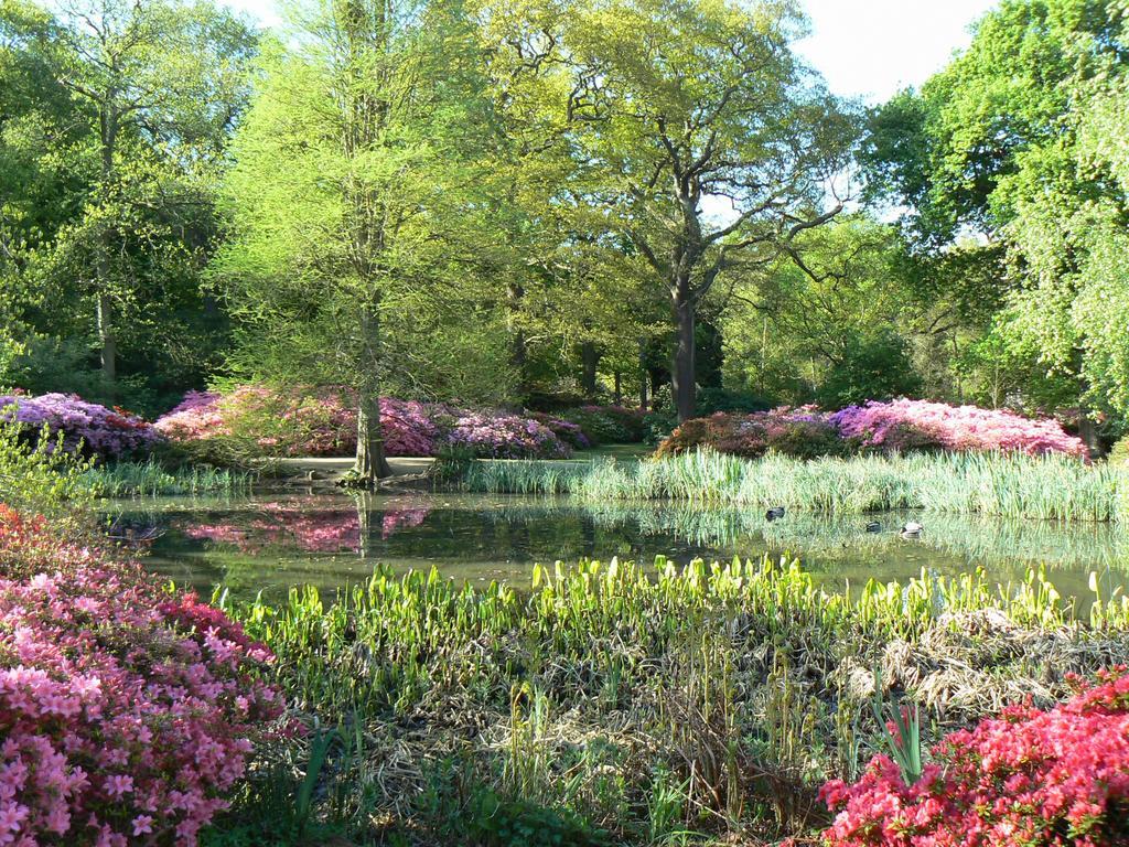 Londonhomegardens المظهر الخارجي الصورة